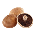 cogumelos marrons
