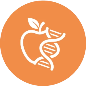 Ícone de maçã com fita de DNA, representando a integração entre nutrição funcional, genética e saúde personalizada.